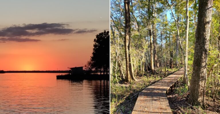 This Louisiana State Park Stays So Quiet You Can Have The Trails Practically To Yourself