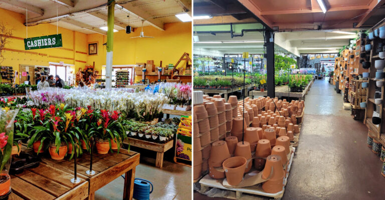 This Massive New York Garden Warehouse Is A Secret Goldmine For Affordable Pots And Fall Plants