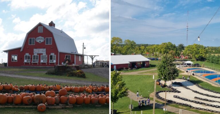Zip Line Over The Fields, Smash Pumpkins And Get Lost In A Corn Maze After Dark At A Farm In Illinois