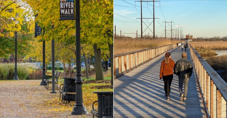 This Delaware Trail Follows A Flat Riverside Path Through A Colorful Marsh This Fall