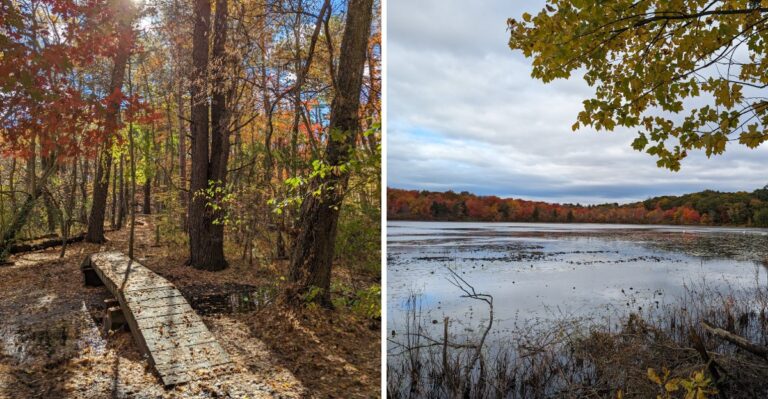 Pack Snacks For These 8 Massachusetts Waterside Spots Where Autumn Picnics Cost Nothing