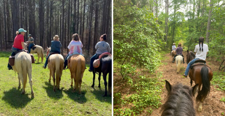 Mississippi Has A Horse Ranch Where Families Saddle Up And Ride Wooded Trails Together