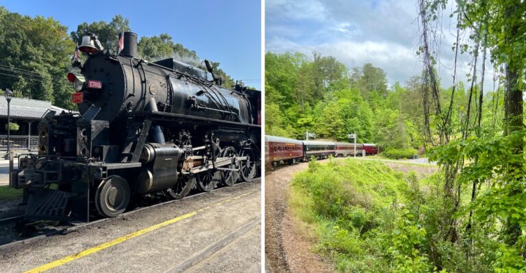 This Scenic 4.5-Hour North Carolina Train Ride Turns Fall Foliage Into An Unforgettable Adventure