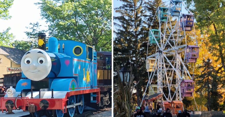 This Gorgeous Train Ride In Michigan Is Packed With Fall Foliage And Fun For Everyone